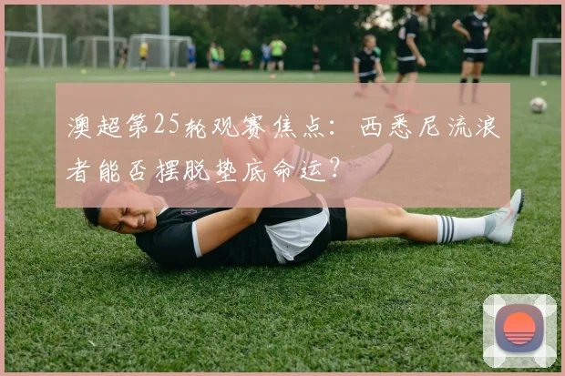 澳超第25轮观赛焦点:西悉尼流浪者能否摆脱垫底命运?