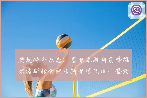 澳超转会动态:墨尔本胜利前锋维尔格斯转会纽卡斯尔喷气机,签约至2026赛季,技术特点解析